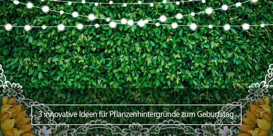 3 innovative Ideen für Pflanzenhintergründe zum Geburtstag - Lofaris Deutschland