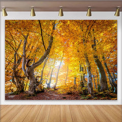 Lofaris Leuchtender Herbstwald Hintergrund mit goldenen Blättern und Sonnenlicht, idyllische Kulisse für professionelles Fotoshooting