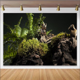 Lofaris Dunkelgrüner Moos- und Farn-Waldlandschaft Hintergrund mit Holzstruktur, realistische Kulisse für professionelle Naturfotografie