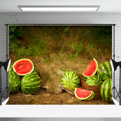 Pastoral Wassermelone Ackerland Früchte Sommer Hintergrund