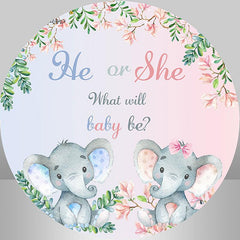 Rosa Und Blau Elefant Runden Baby Dusche Dekor Hintergrund