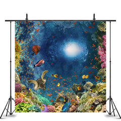 Unter Der Meer Landschaft Koralle Fisch Foto Hintergrund