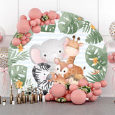 Tiere Blau Streifen Monstera Safari Geburtstag Hintergrund