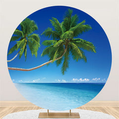 Blau Himmel Strand Mit Kokosnuss Baum Runden Urlaub Hintergrund