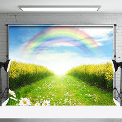 Blau Himmel Regenbogen Gelb Blumen Feld Frühling Hintergrund