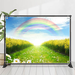 Blau Himmel Regenbogen Gelb Blumen Feld Frühling Hintergrund