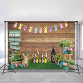Hase Kaninchen Bunt Eier Gras Blumen Ostern Hintergrund