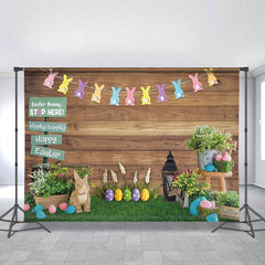 Hase Kaninchen Bunt Eier Gras Blumen Ostern Hintergrund