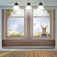 Niedlich Rabbite In Weiß Fenster Regenbogen Ostern Hintergrund