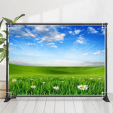 Blumen Grün Wiese Blau Himmel Frühling Hintergrund