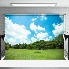 Frisch Grün Feld Wald Sonnig Tag Frühling Hintergrund