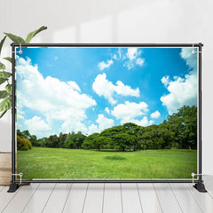 Frisch Grün Feld Wald Sonnig Tag Frühling Hintergrund