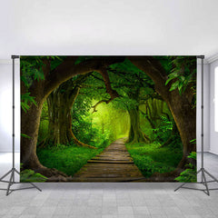 Grün Wald Dschungel Mit Hölzern Straße Frühling Hintergrund