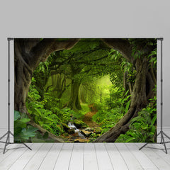 Grün Wald Weg Wunderland Sonnig Frühling Hintergrund