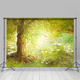 Grün Baum Feld Mit Blume Süß Frühling Hintergrund