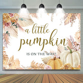 Wenig Kürbis Ist An Der Weg Herbst Babydusche Hintergrund