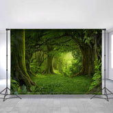 Geheimnisvoll Und Ruhig Wald Dschungel Frühling Hintergrund