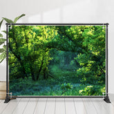 Natürlich Grün Wiese Fotografie Frühling Hintergrund