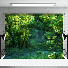 Natürlich Grün Wiese Fotografie Frühling Hintergrund