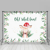 Oh Was Spaß! Kitz In A Weihnachtsmann Hut Weihnachten Hintergrund