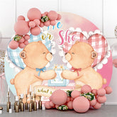 Rosa Und Blau Teddy Tragen Kreis Baby Dusche Hintergrund