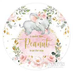 Rosa Elefant Blumen Niedlich Runden Baby Dusche Hintergrund