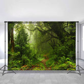 Einfach Grün Dschungel Mit Eng Weg Frühling Hintergrund