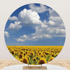 Sonnenblumen Und Blau Himmel Weiß Wolke Geburtstag Hintergrund