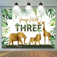 Tropisch Regenwald Jung Wild 3 Geburtstag Hintergrund