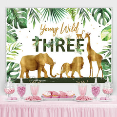 Tropisch Regenwald Jung Wild 3 Geburtstag Hintergrund