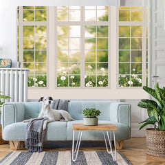 Weiss Fenster Blume Glücklich Geburtstag Hintergrund Für Mädchen