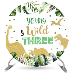 Jung Wild Drei Dinosaurier Geburtstag Kreis Hintergrund