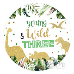 Jung Wild Drei Dinosaurier Geburtstag Kreis Hintergrund