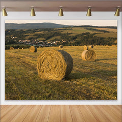 Lofaris Goldener Heuballenlandschaft Fotohintergrund mit Dorf und Feldern, idyllische Kulisse für professionelle Porträts und Fotos