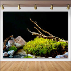 Lofaris Detailreicher Naturhintergrund mit grünem Moos, Steinen und Ästen, dunkle Kulisse für professionelle Makrofotografie und Produktbilder