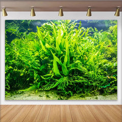 Lofaris Lebendiger Unterwasser-Pflanzen-Hintergrund mit grünen Wasserpflanzen, natürliche Fotowand für professionelle Studiofotografie