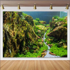 Lofaris Detailreicher Moosfelsen Naturlandschaftshintergrund mit grünen Pflanzen, realistische Fotokulisse für professionelle Studioaufnahmen