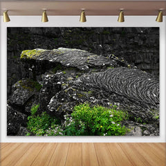 Lofaris Detailreicher Felsen Textur Fotohintergrund mit grünem Moos, natürliche Kulisse für professionelle Porträtfotografie und Studio