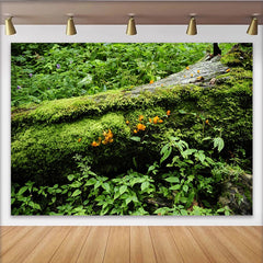 Lofaris Grüner Mooswald Hintergrund mit altem Baumstamm und orangefarbenen Pilzen, natürliche Fotokulisse für professionelle Naturfotografie
