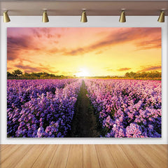Lofaris Lila Blumenfeld Fotohintergrund mit Sonnenuntergang, wunderschöne Kulisse für professionelles Fotostudio und Dekoration
