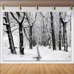Lofaris Verschneiter Winterwald Fotohintergrund mit Bäumen und Pfad, idyllische Kulisse für Studiofotografie und Porträts