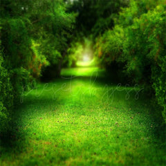 Hell Grün Wald Frühling Thema Foto Hintergrund Für Porträt