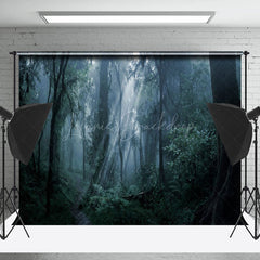 Dunkel Grün Wald Licht Strahl Fotografie Hintergrund