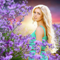 Sonnenschein Und Lavendel Frühling Thema Foto Hintergrund Für Porträt