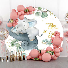 Junge Oder Mädchen Niedlich Elefant Kreis Baby Dusche Hintergrund