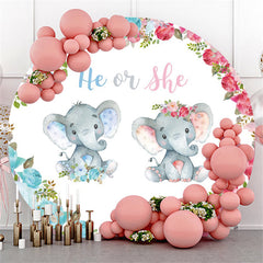 Er Oder Sie Elefant Geschlecht Aufdecken Runden Baby Dusche Hintergrund